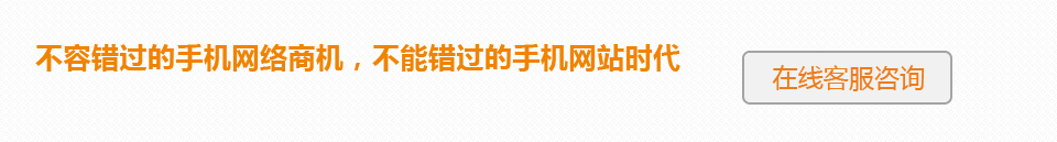 不容錯過的手機網(wǎng)絡(luò)商機，不能錯過的手機網(wǎng)站時代