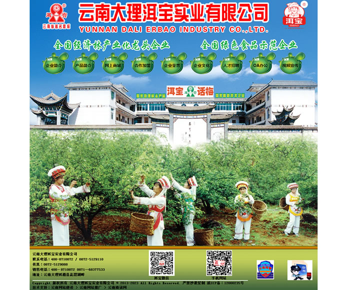 云南網(wǎng)站建設(shè)、昆明網(wǎng)站建設(shè)、云南網(wǎng)站制作、昆明網(wǎng)站制作、云南微網(wǎng)站制作、云南網(wǎng)站優(yōu)化推廣、大理網(wǎng)站建設(shè)、麗江網(wǎng)站建設(shè)、大理網(wǎng)站制作、麗江網(wǎng)站制作、保山網(wǎng)站建設(shè)、德宏網(wǎng)站建設(shè)、文山網(wǎng)站建設(shè)、楚雄網(wǎng)站建設(shè)、紅河網(wǎng)站建設(shè)、云南政府網(wǎng)站建設(shè)、普洱網(wǎng)站建設(shè)